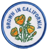 Patches
