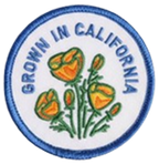 Patches