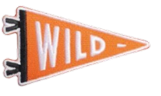 Patches